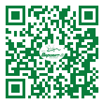 QR-код этой страницы