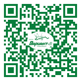 QR-код этой страницы