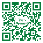 QR-код этой страницы