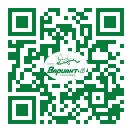 QR-код этой страницы