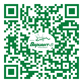 QR-код этой страницы