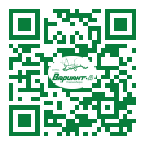 QR-код этой страницы