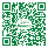 QR-код этой страницы