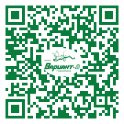 QR-код этой страницы