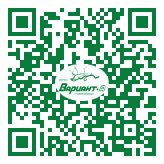 QR-код этой страницы