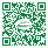 QR-код этой страницы