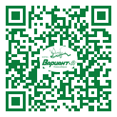 QR-код этой страницы