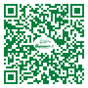 QR-код этой страницы