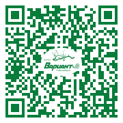 QR-код этой страницы