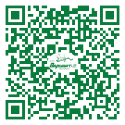 QR-код этой страницы