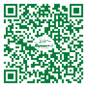QR-код этой страницы