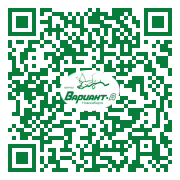 QR-код этой страницы