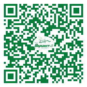 QR-код этой страницы