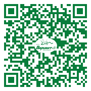 QR-код этой страницы