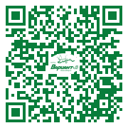 QR-код этой страницы