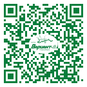 QR-код этой страницы