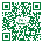 QR-код этой страницы