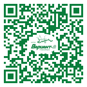 QR-код этой страницы