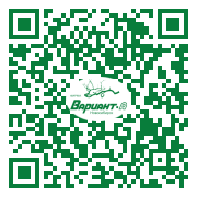 QR-код этой страницы