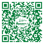 QR-код этой страницы