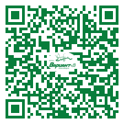 QR-код этой страницы