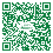 QR-код этой страницы