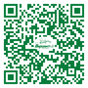 QR-код этой страницы