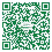 QR-код этой страницы