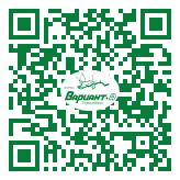 QR-код этой страницы