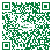 QR-код этой страницы