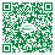 QR-код этой страницы