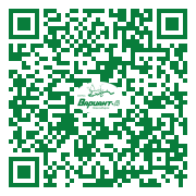 QR-код этой страницы