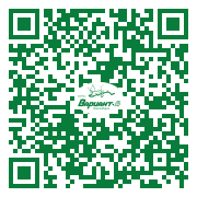 QR-код этой страницы