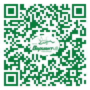 QR-код этой страницы