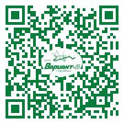 QR-код этой страницы