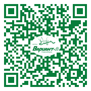 QR-код этой страницы