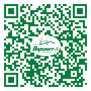 QR-код этой страницы