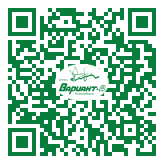 QR-код этой страницы