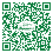 QR-код этой страницы