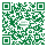 QR-код этой страницы