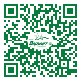 QR-код этой страницы