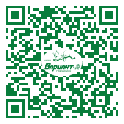 QR-код этой страницы