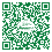 QR-код этой страницы