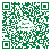 QR-код этой страницы