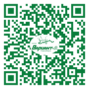 QR-код этой страницы