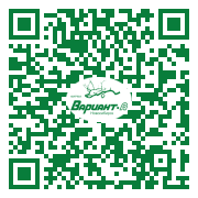 QR-код этой страницы