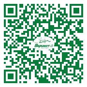 QR-код этой страницы