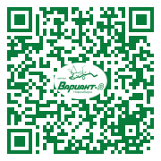 QR-код этой страницы