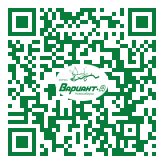 QR-код этой страницы