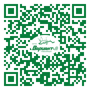 QR-код этой страницы